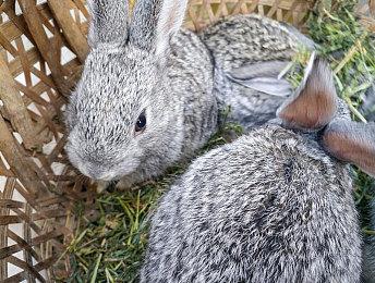 《孤岛惊魂》系列迎来新总监 《孤岛惊魂5》编剧晋升